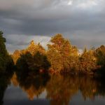 Cedar Lakes RV Park & Campground