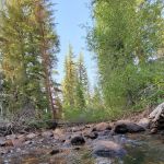 Pine Valley Group Campground