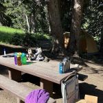 Albion Basin Campground
