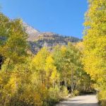 Timpooneke Campground