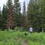 Salamander Flat Trail Head Campground