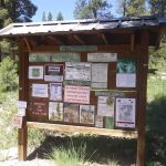 Yellow Pine Campground