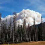 Lilly Lake Campground