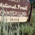 Aspen Campground