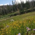 Butterfly Lake Campground