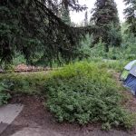 Monte Cristo Campground