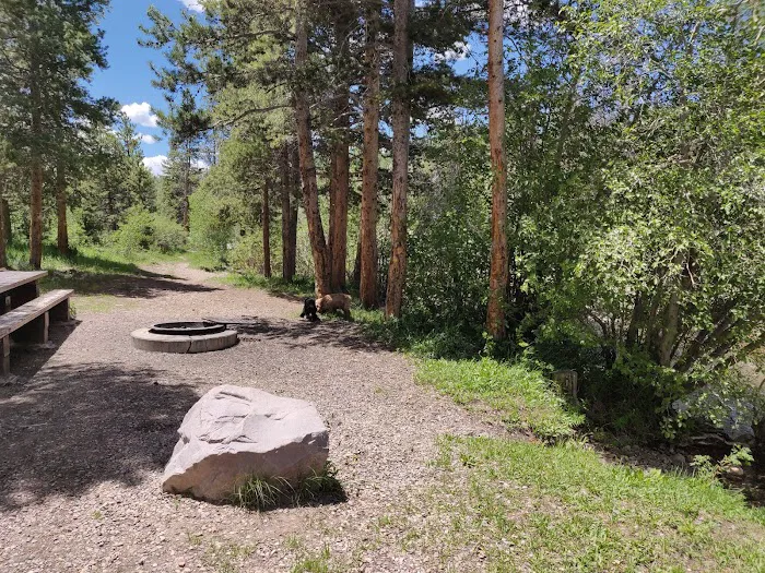 East Fork Bear River Campground 1