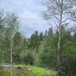 East Fork Bear River Campground