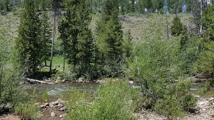 East Fork Bear River Campground 4