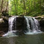 Frozen Head State Park
