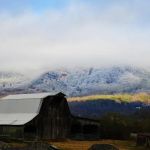 Honeysuckle Meadows RV Park