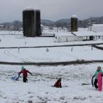 Dumplin Valley Farm RV Park