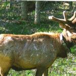 Mile High Campground Office