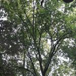 Cherokee Park Campground