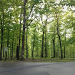 Meriwether Lewis Campground- Natchez Trace