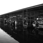 Birdsong Resort, Marina and Family Lakeside RV Campground