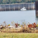 TVA Pickwick Dam Campground