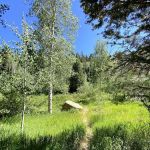 Cedar Canyon Campground