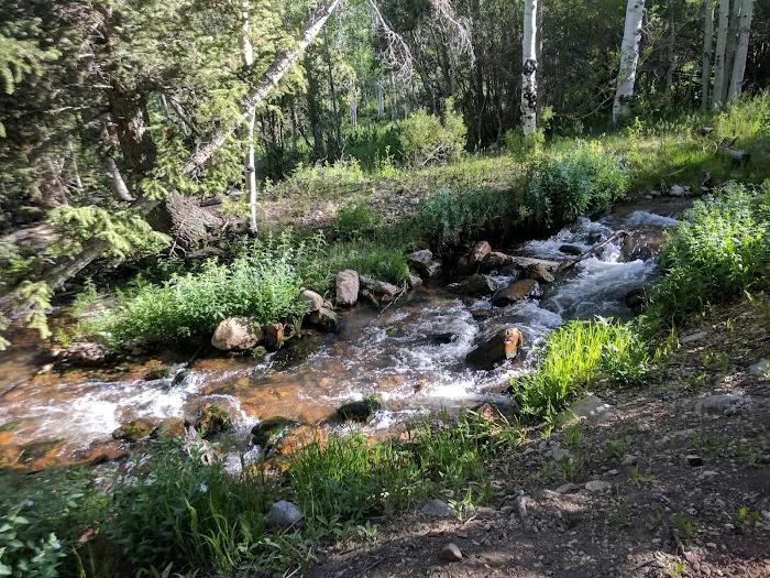 Timber Creek Campground 1