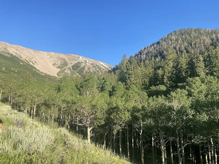 Timber Creek Campground 4