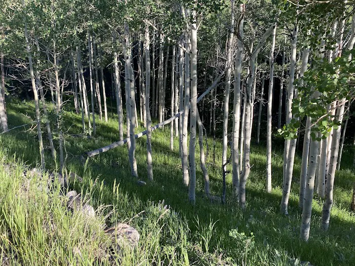 Timber Creek Campground 8