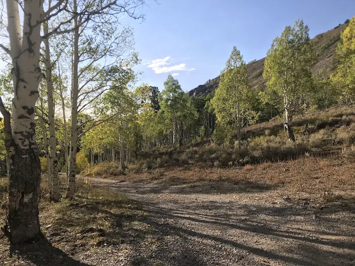 Timber Creek Campground 5
