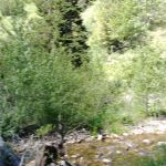 Pine Creek National Forest Campground