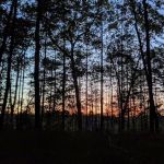Leverentz Lake State Forest Campground