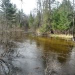 Bear Track Campground