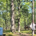 Linde's Rustic Campground