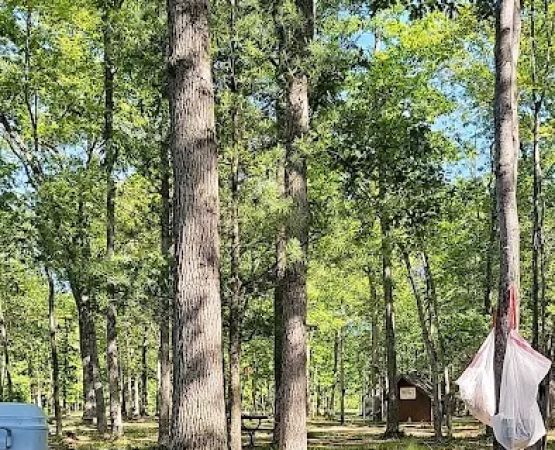 Linde's Rustic Campground