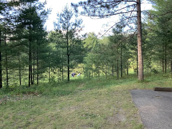 Round Lake Campground 5