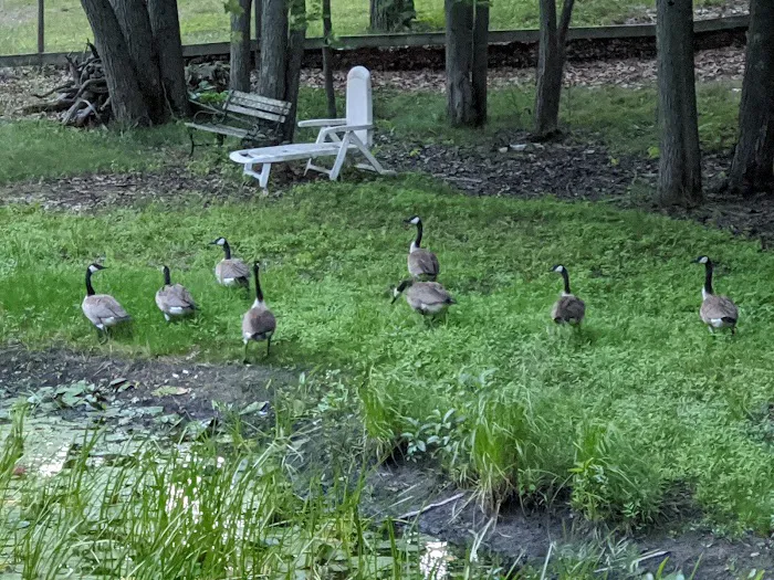 Round Lake Campground 7