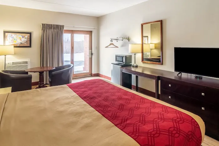 Econo Lodge Cadillac 3