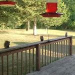 Lincoln Pines Resort