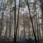 Boone Campsite - Camp Rotary