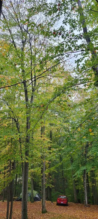 Cadillac Woods Campground 0