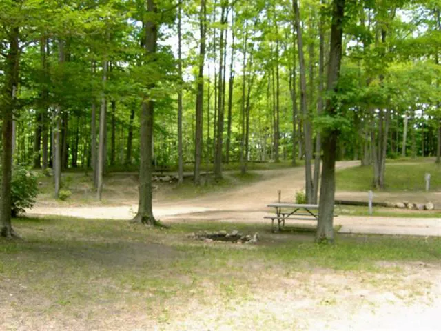 Cadillac Woods Campground 3