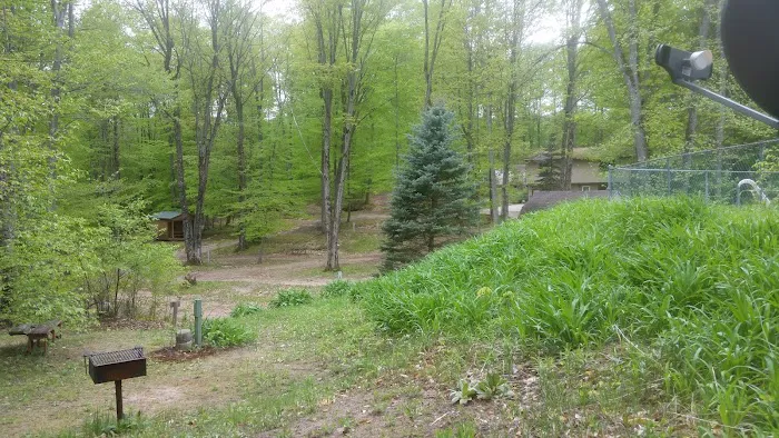 Cadillac Woods Campground 4