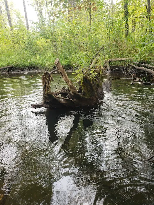Twin Pine Campground & Canoe 0