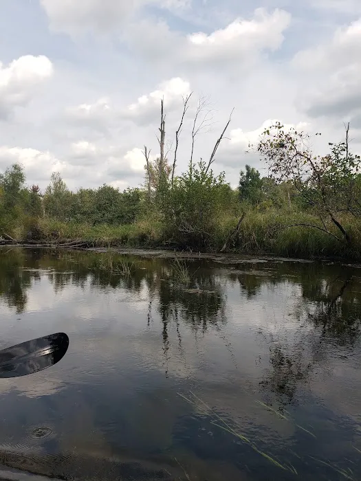 Twin Pine Campground & Canoe 2