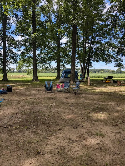 Twin Pine Campground & Canoe 9