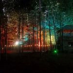 The Groves of Michigan