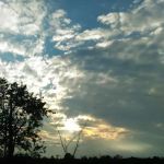 Nestle In | A Parkbridge Cottage & RV Resort