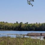 Cole's Point Resort & Trailer Park