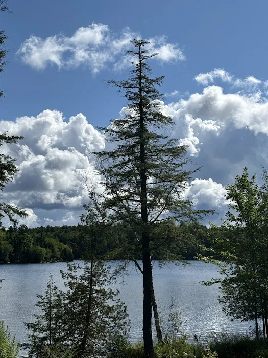 Bonnie Lake Resort 5