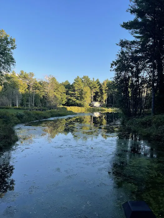 Whispering Springs Wilderness Retreat 4