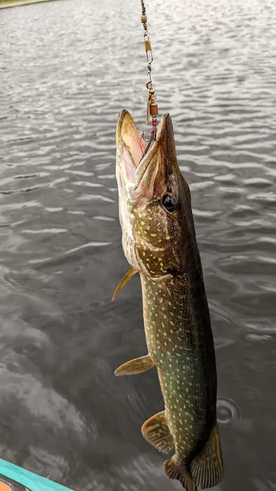 Camp Walleye 5