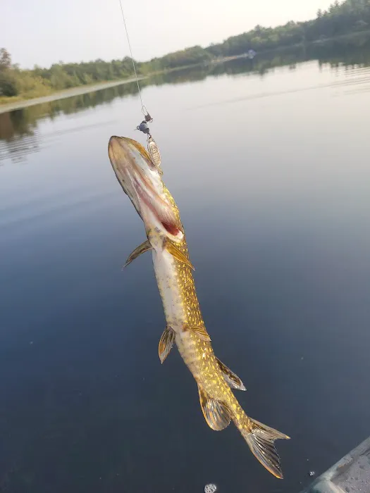 Camp Walleye 3