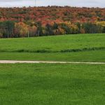 Munro Park Campgrounds